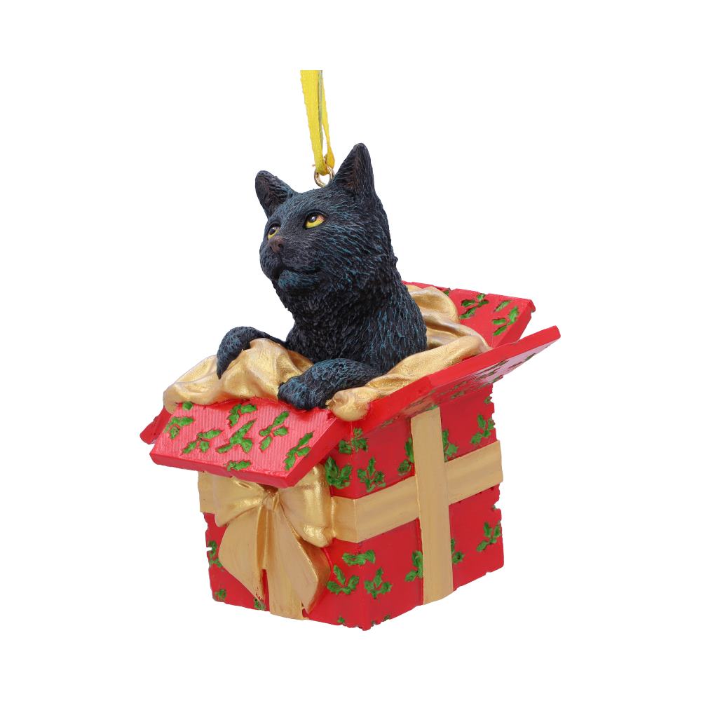 Cat in Present hanging ornament