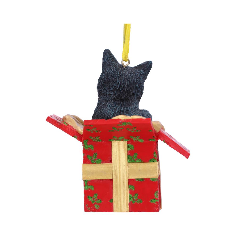 Cat in Present hanging ornament