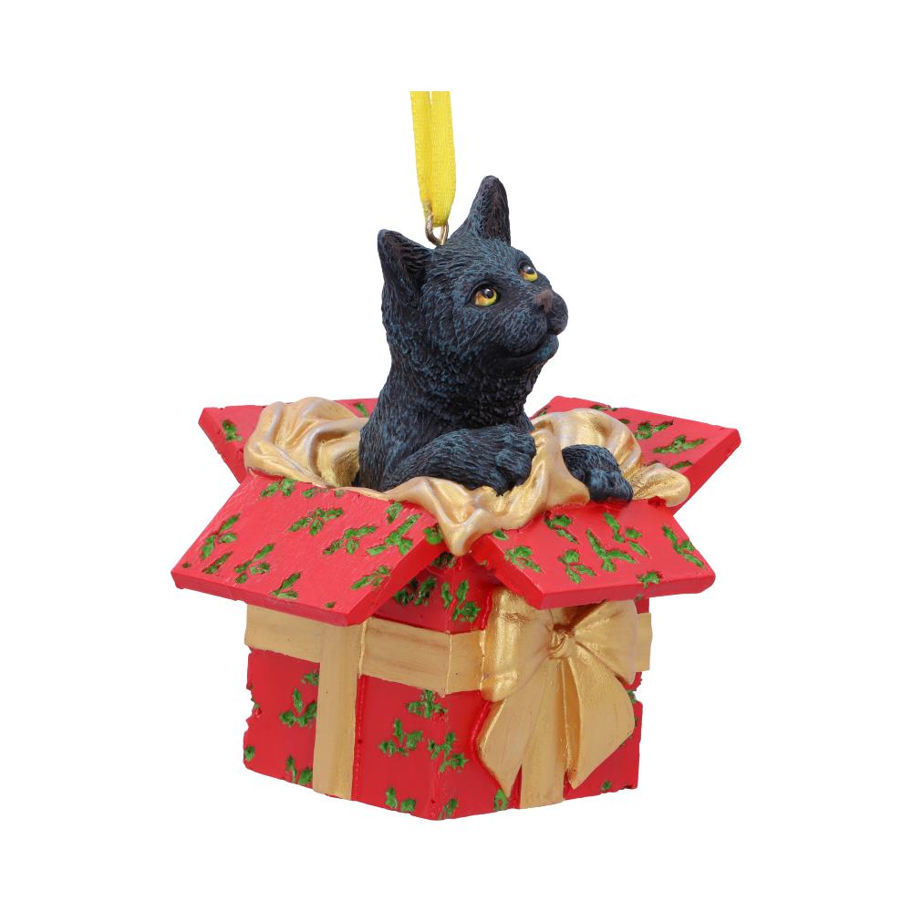 Cat in Present hanging ornament