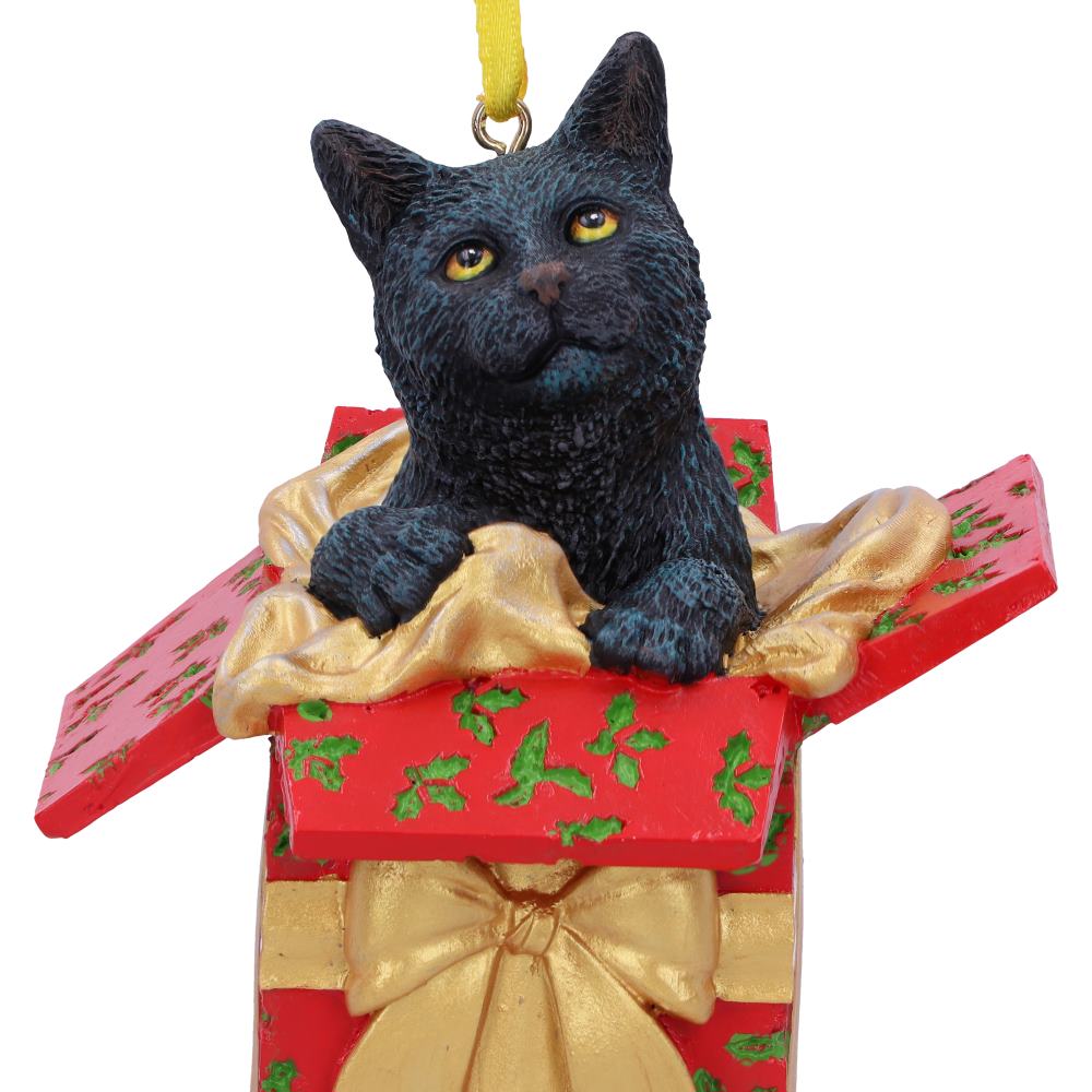 Cat in Present hanging ornament