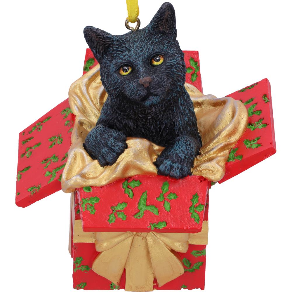 Cat in Present hanging ornament