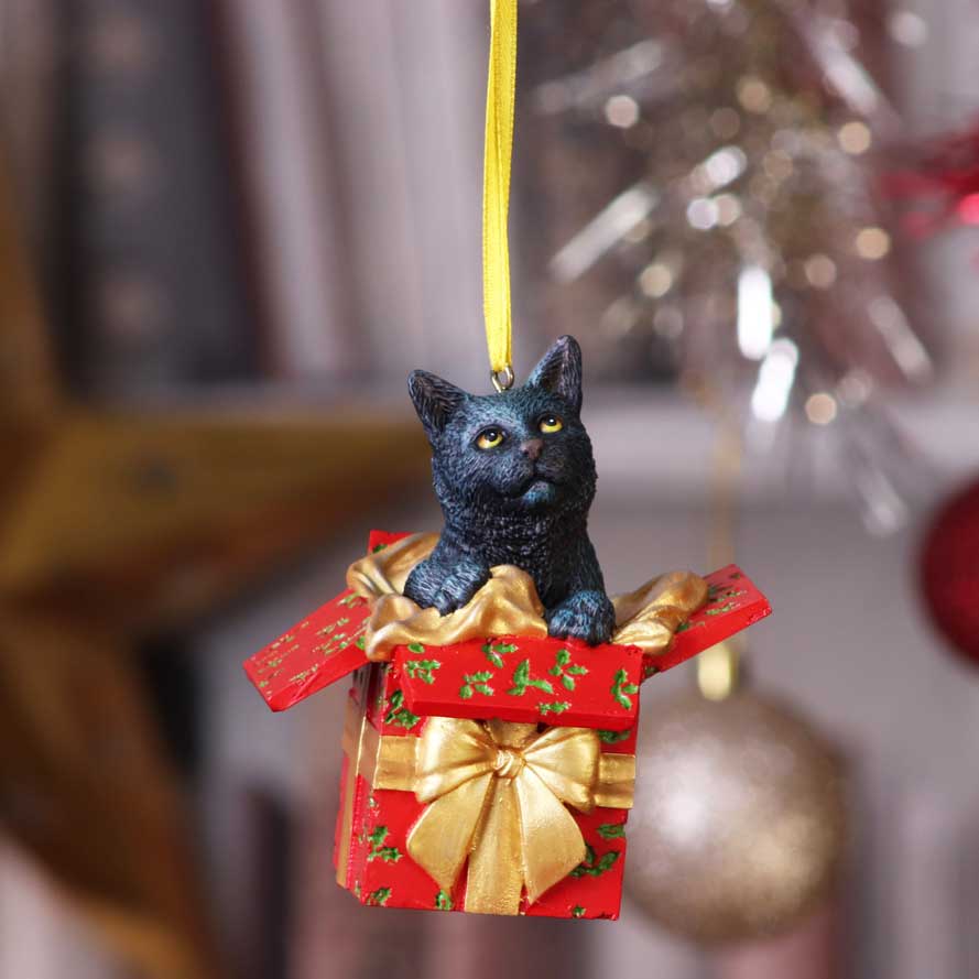 Cat in Present hanging ornament