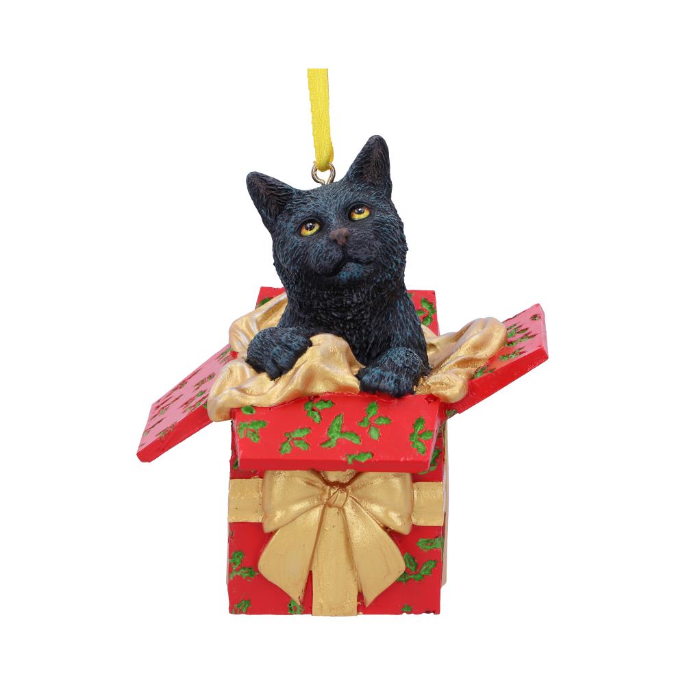 Cat in Present hanging ornament