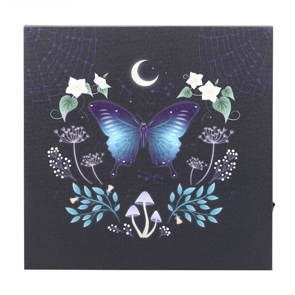 Midnight Moth Light Up Canvas Plaque